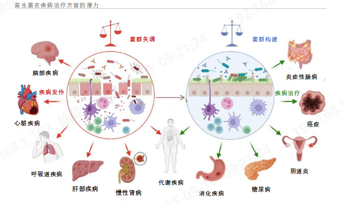 企业微信截图_17574673316137.png